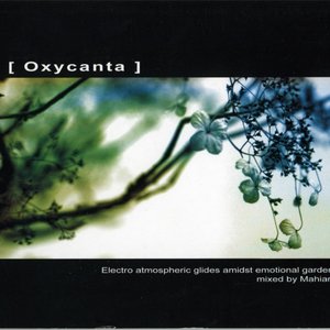 Oxycanta