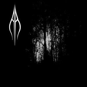 Voices from the Void