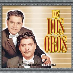 “Tesoros de Coleccion - Los Dos Oros”的封面