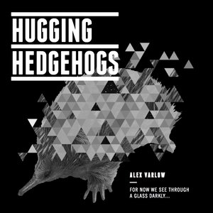 Bild für 'Hugging Hedgehogs'