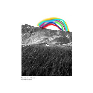 Potential Landscapes