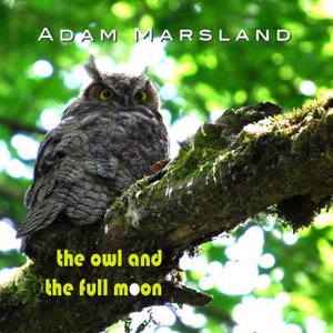 The Owl And The Full Moon