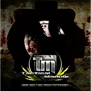 Where Angels Rise (Project Rotten remix)