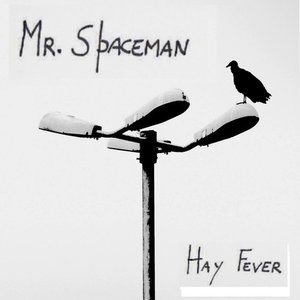 Hay Fever