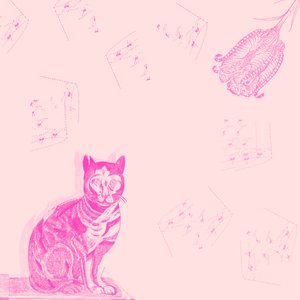 Katia Krow 的头像