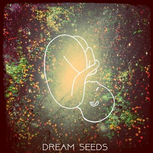 Dream Seeds 的头像