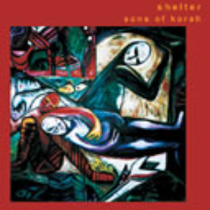 Shelter cover