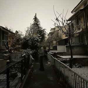 Efey4hya Archived 的头像