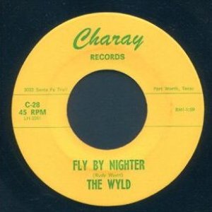 Fly by Nighter