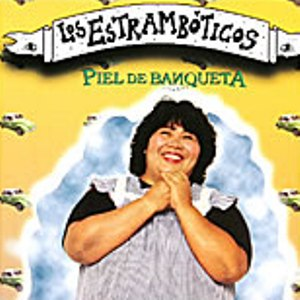 Piel de banqueta cover