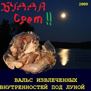 Вальс извлеченных внутренностей под луной (EP) (2009)