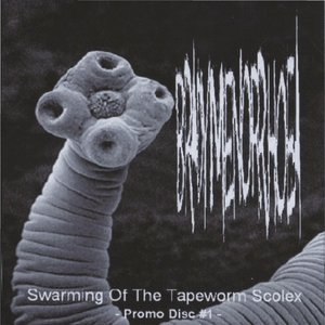 Swarming Of The Tapeworm Scolex