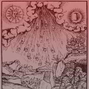 Wizard Cult 的头像