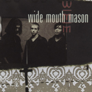 Wide Mouth Mason - 100 Oldies Deel 56 - Zortam Music