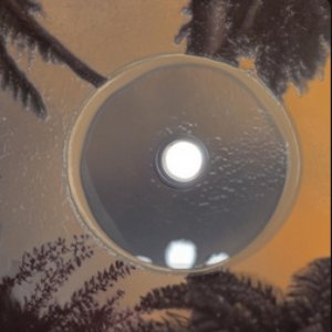 Through the Fog (feat. Alice the Little Alien) - Single