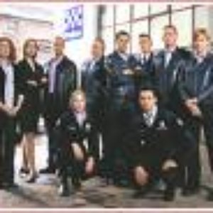The Blue Heelers 的头像