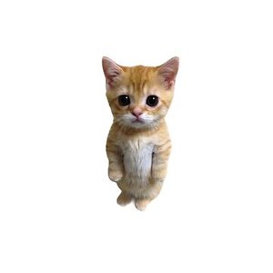 Chinese Cat Dance