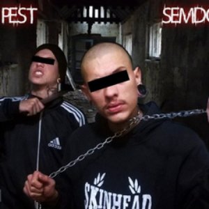 Image for 'SemDó & Pest'