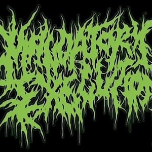 MANDATORY EXECUTION 的头像