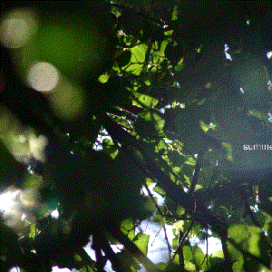 Avatar for Independent Researchers Society