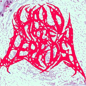 Halo Of Leprosy 的头像