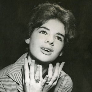 Denise Brousseau 的头像