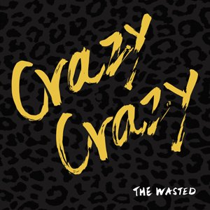 Crazy Crazy