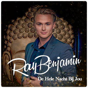 Artwork for De hele nacht bij jou