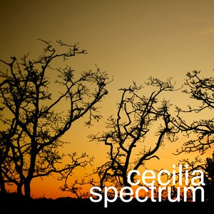 Cecilia Spectrum 的头像