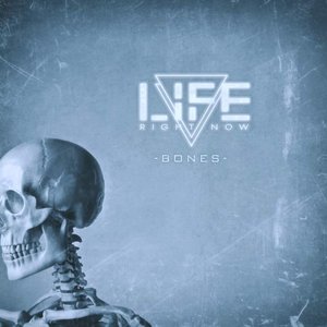 Bones