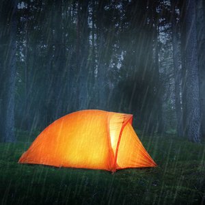 Rain on Tent (Loopable) 的头像
