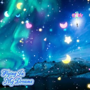 Flying In My Dreams