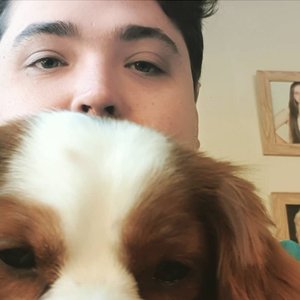 Killawarra 的头像