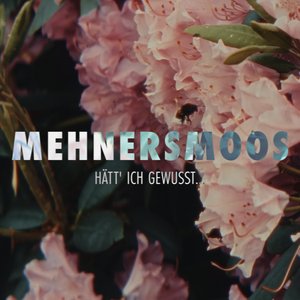 Hätt ich gewusst - Single