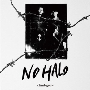 NO HALO