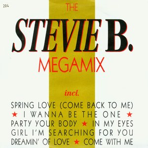 The Stevie B. Megamix