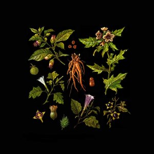 Folklore Of Plants Vol.II - The Venefic Garden