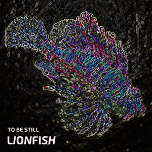 To Be Still