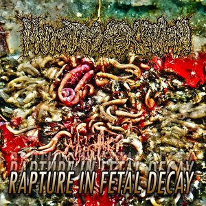 Rapture in Fetal Decay