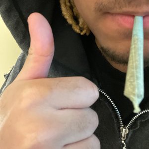 mulatto