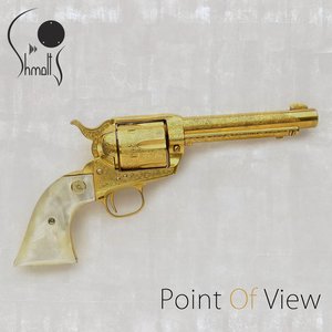 Image for 'Point Of View'