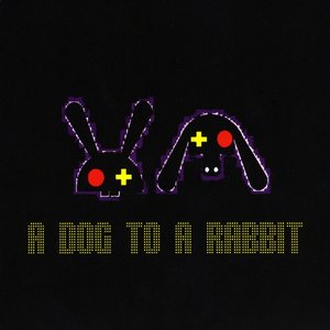 A Dog To A Rabbit