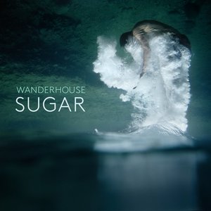 Sugar - Single