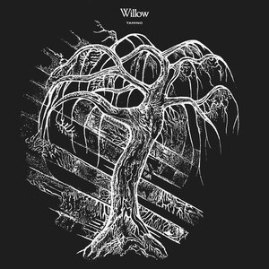 WILLOW
