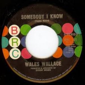 Awatar dla Wales Wallace