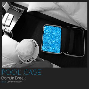 POOL CASE