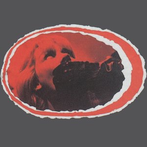 Bog Bodies 的头像