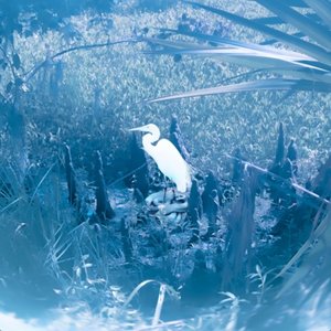 Youth and Beauty - EP
