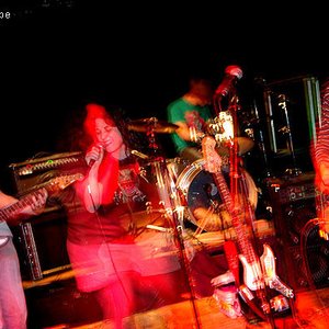 Mexican Holiday 的头像