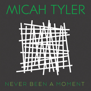 NEVER BEEN A MOMENT album image